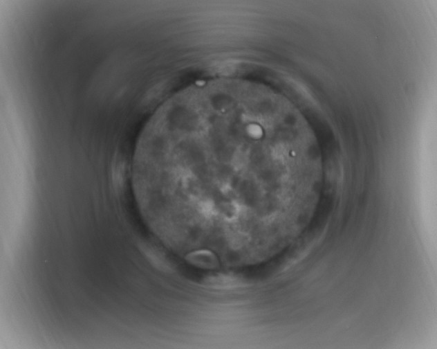 X0000115300503200911091015