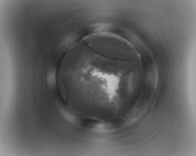 X0000115300504200911091015