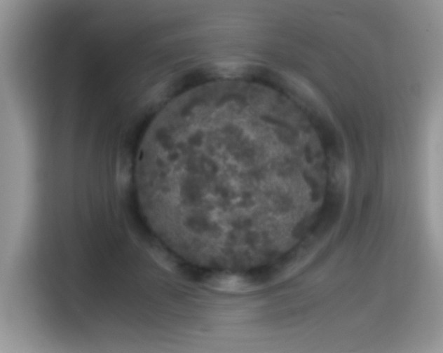 X0000115300507200911091015