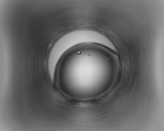 X0000115300508200911091015