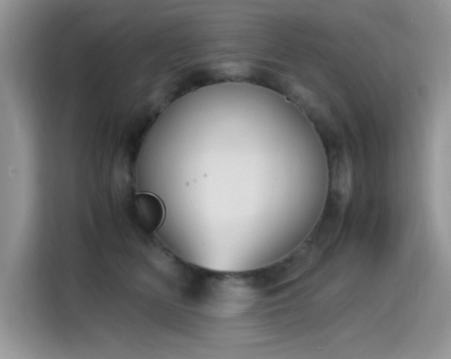 X0000115300518200911091015