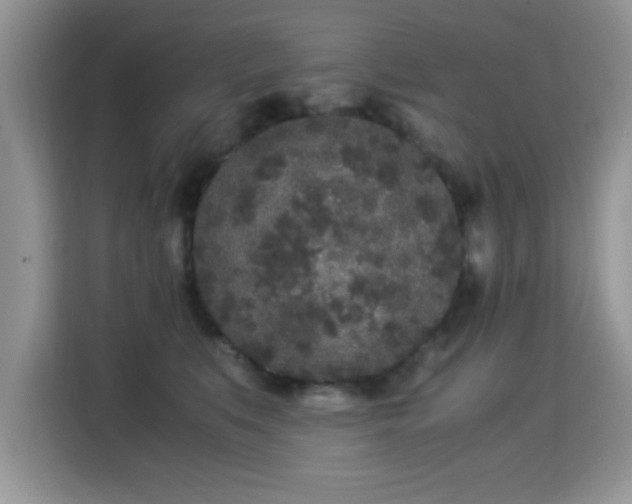 X0000115300519200911091015