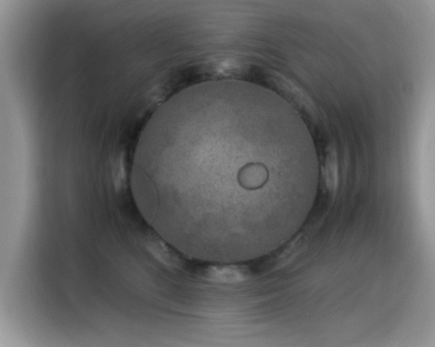 X0000115300520200911091014