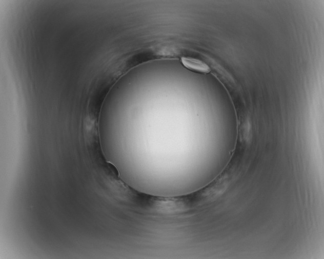 X0000115300521200911091014
