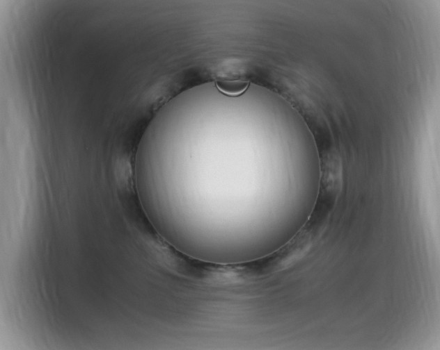 X0000115300523200911091014