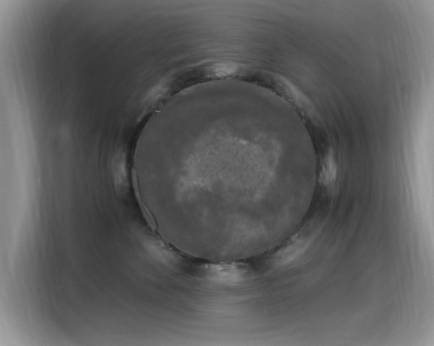 X0000115300524200911091014