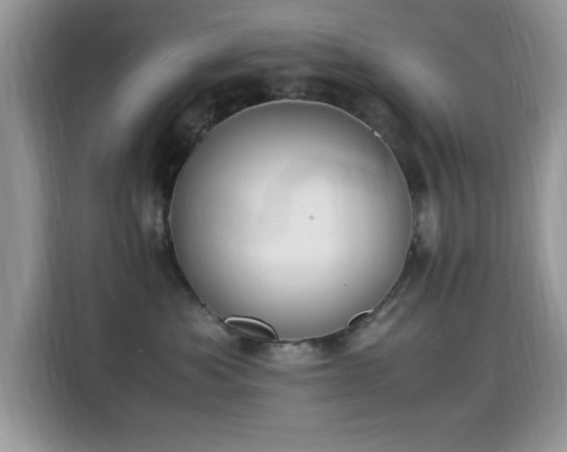X0000115300525200911091014
