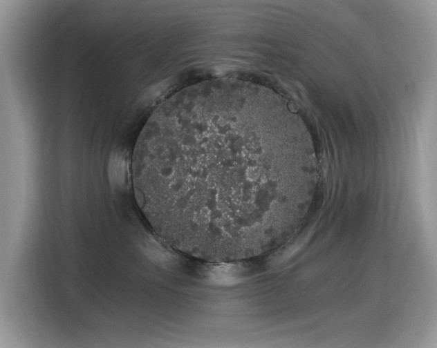 X0000115300527200911091014