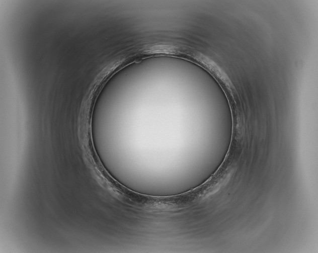 X0000115300529200911091014