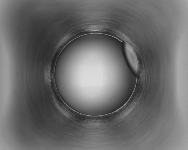 X0000115300530200911091014