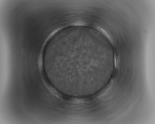 X0000115300531200911091014