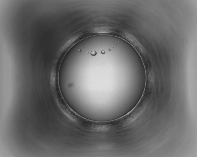 X0000115300533200911091014