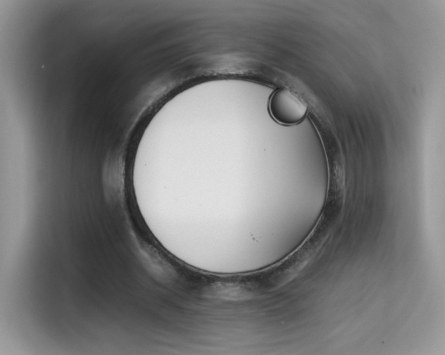 X0000115300534200911091014