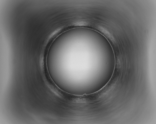 X0000115300535200911091014