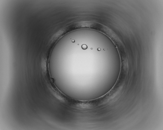 X0000115300537200911091014