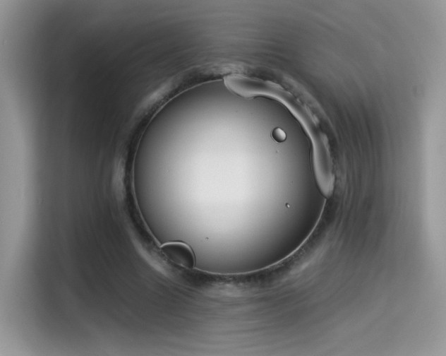 X0000115300538200911091014