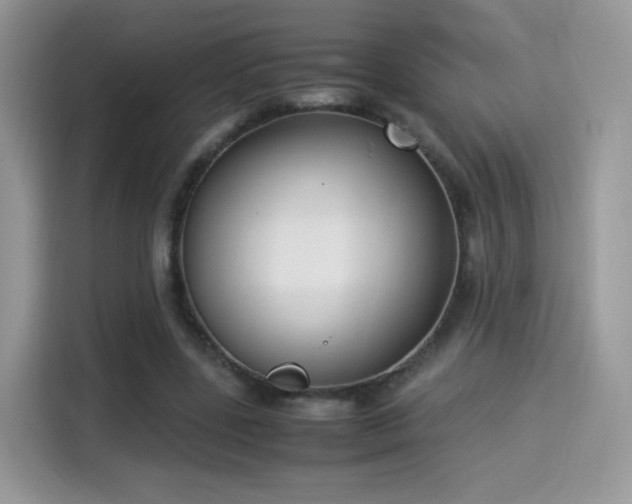 X0000115300539200911091014