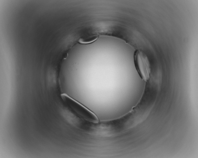 X0000115300546200911091014