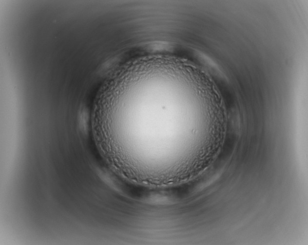 X0000115300550200911091014