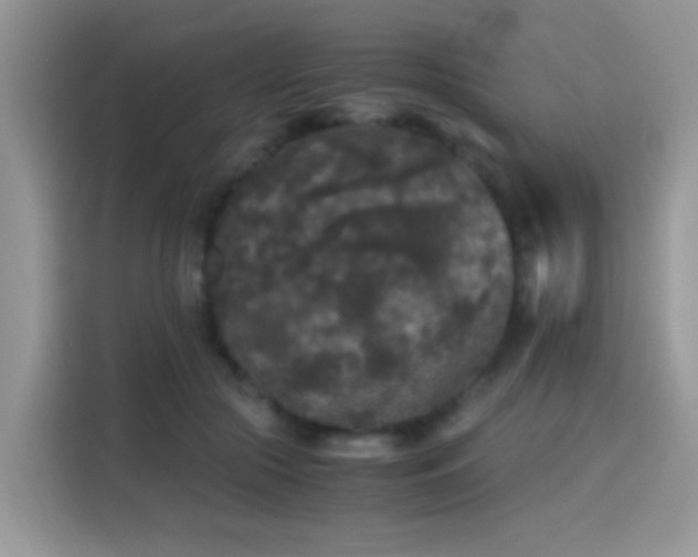 X0000115300553200911091014