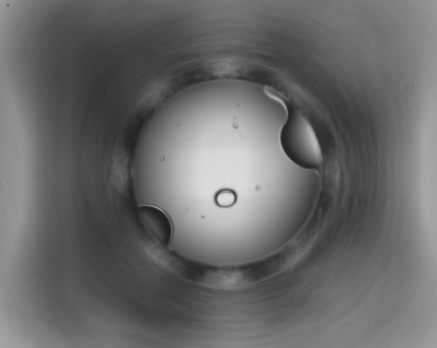 X0000115300554200911091014
