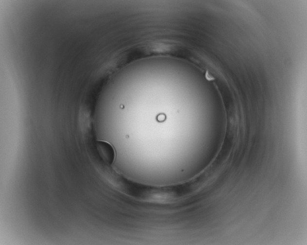 X0000115300555200911091014