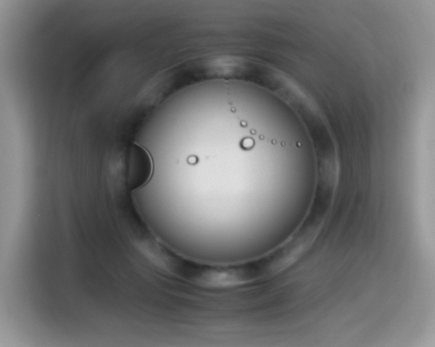 X0000115300557200911091014