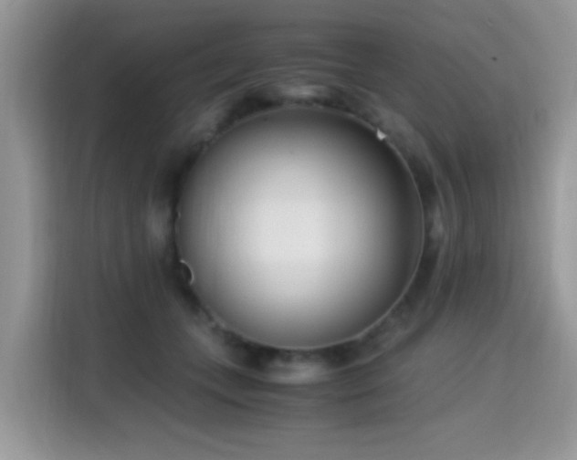X0000115300559200911091014