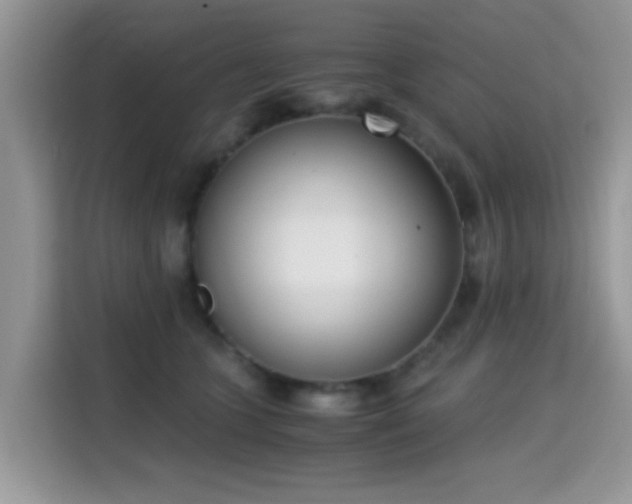X0000115300563200911091014
