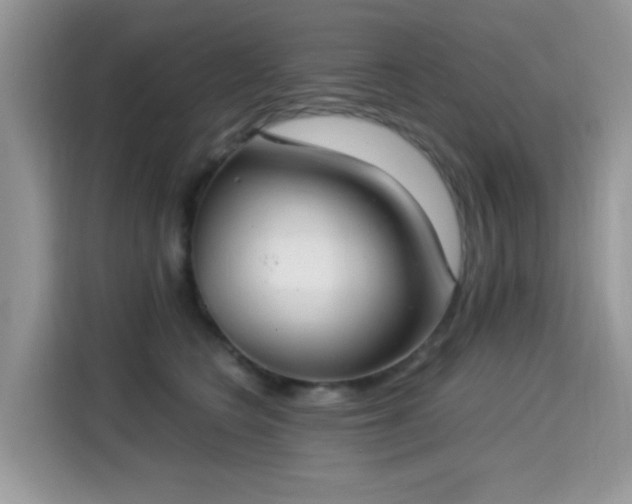 X0000115300566200911091014
