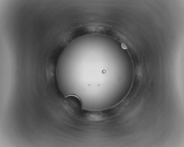 X0000115300567200911091014