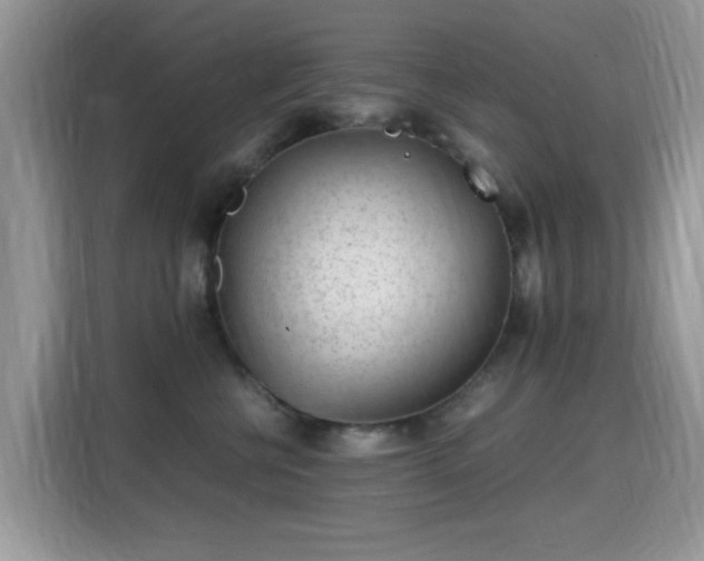 X0000115300570200911091014