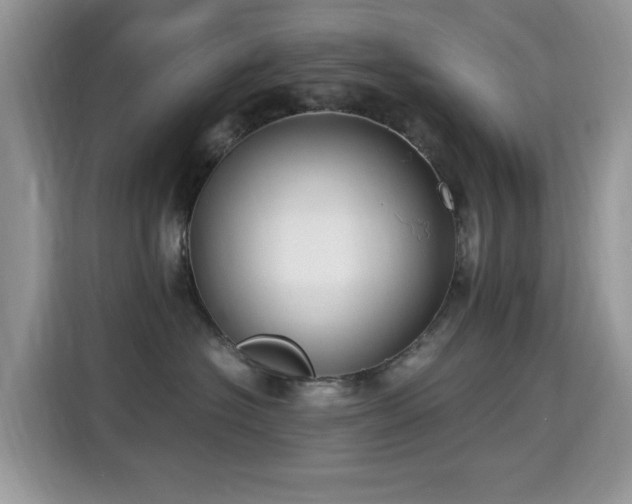 X0000115300574200911091014
