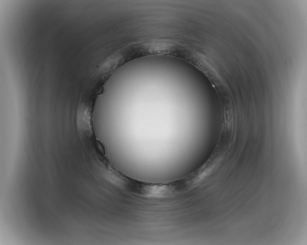 X0000115300575200911091014