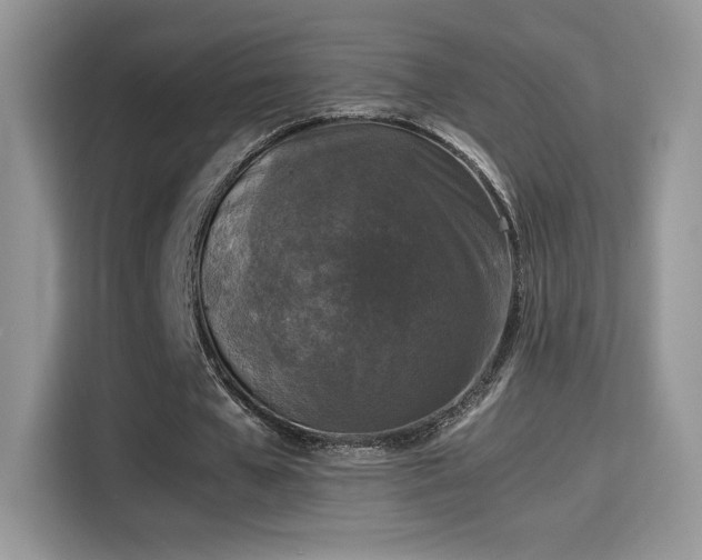 X0000115300577200911091014