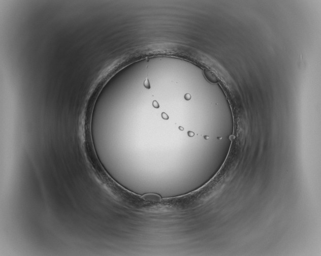 X0000115300578200911091014
