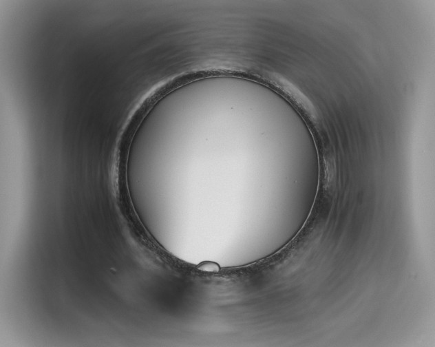 X0000115300580200911091014