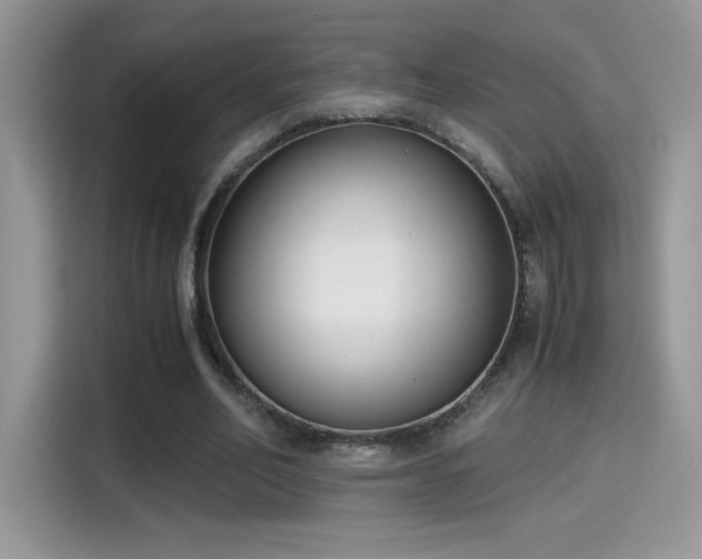 X0000115300582200911091014