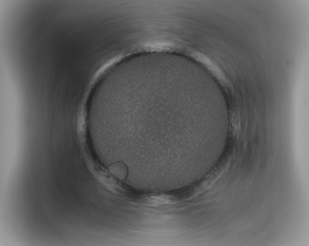 X0000115300583200911091014