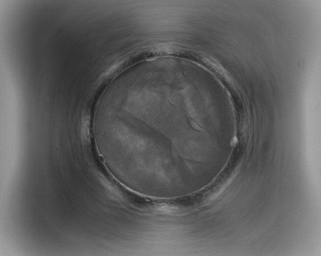 X0000115300585200911091014
