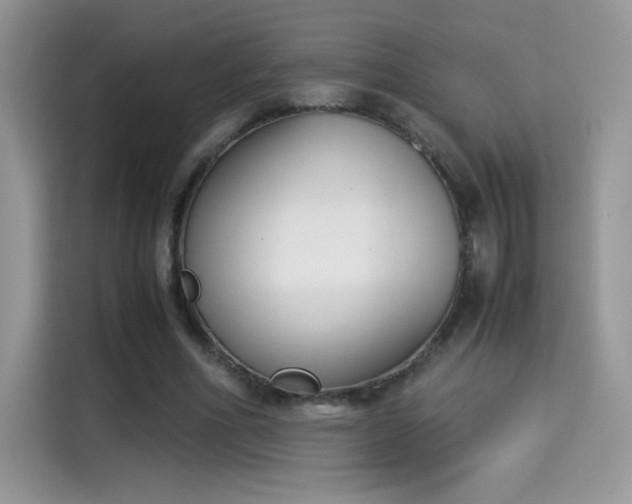 X0000115300586200911091014