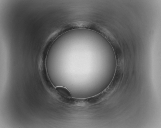 X0000115300587200911091014