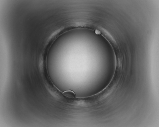 X0000115300588200911091014