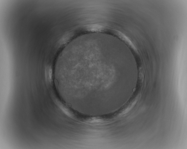 X0000115300589200911091014