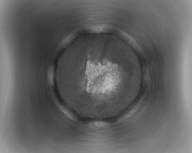 X0000115300590200911091014