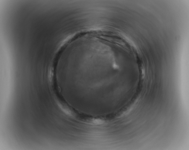 X0000115300592200911091014