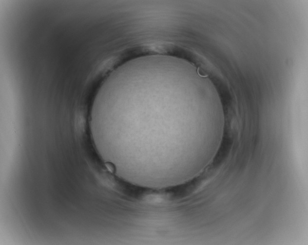 X0000115300595200911091014