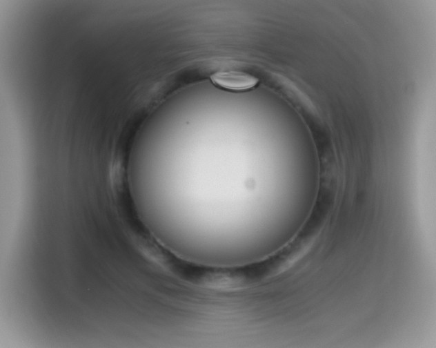 X0000115300597200911091013