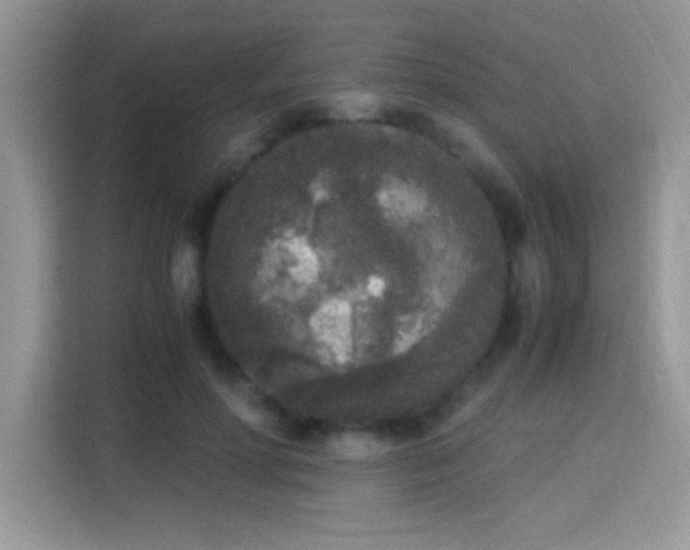 X0000115300598200911091013