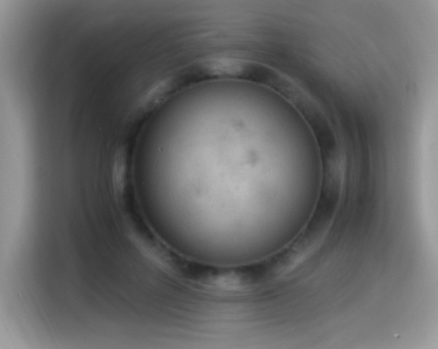 X0000115300600200911091013